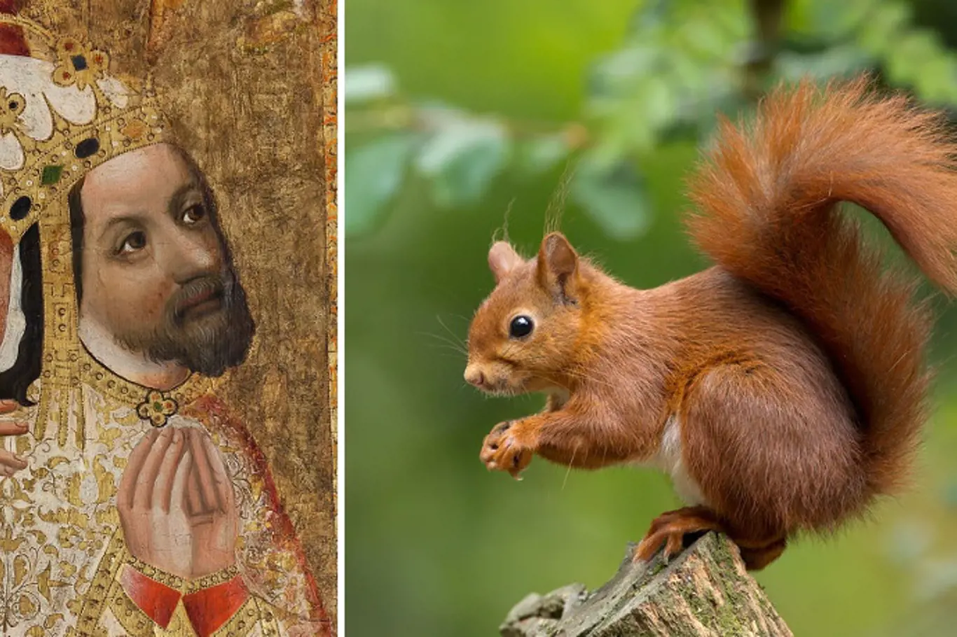Za časů Karla IV. šlechta jedla všechno, co běhalo po lese. Třeba i veverky.
