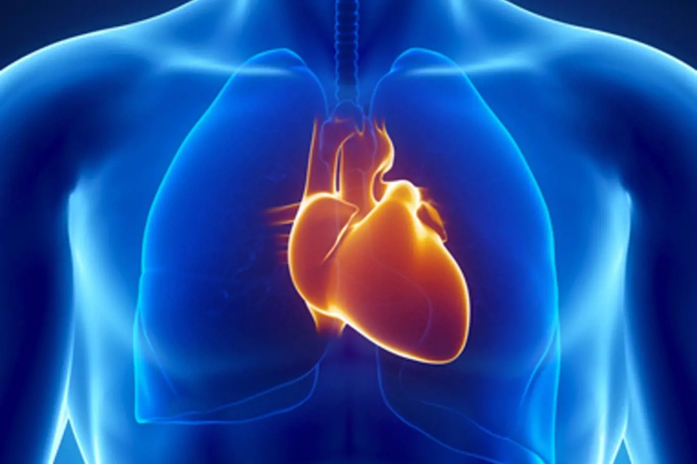Projevy fibrilace síní si podle průzkumu téměř 40 procent lidí plete s projevy infarktu. 