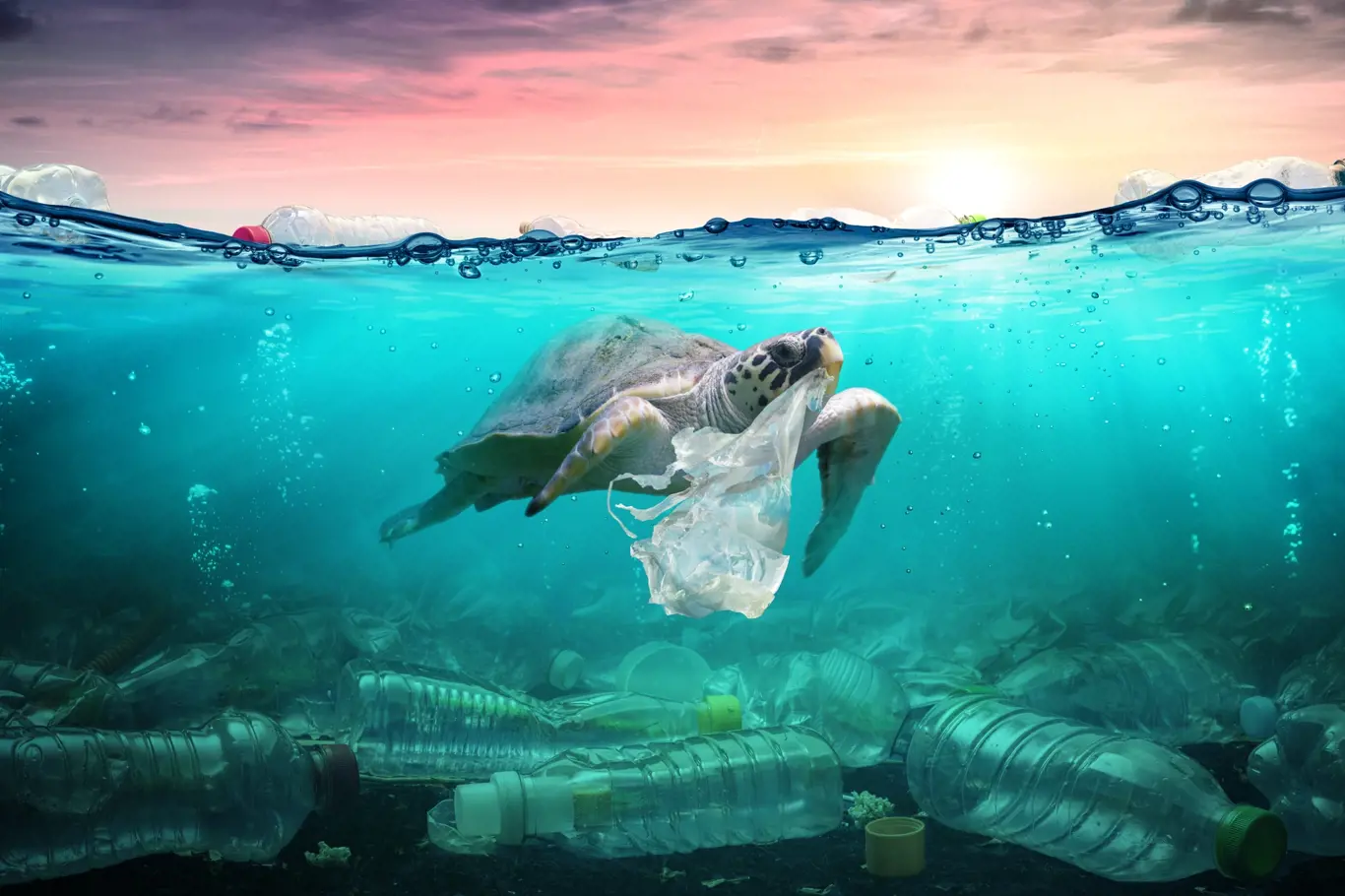 přibližně 14 milionů tun plastů končí v oceánech po celém světě. 