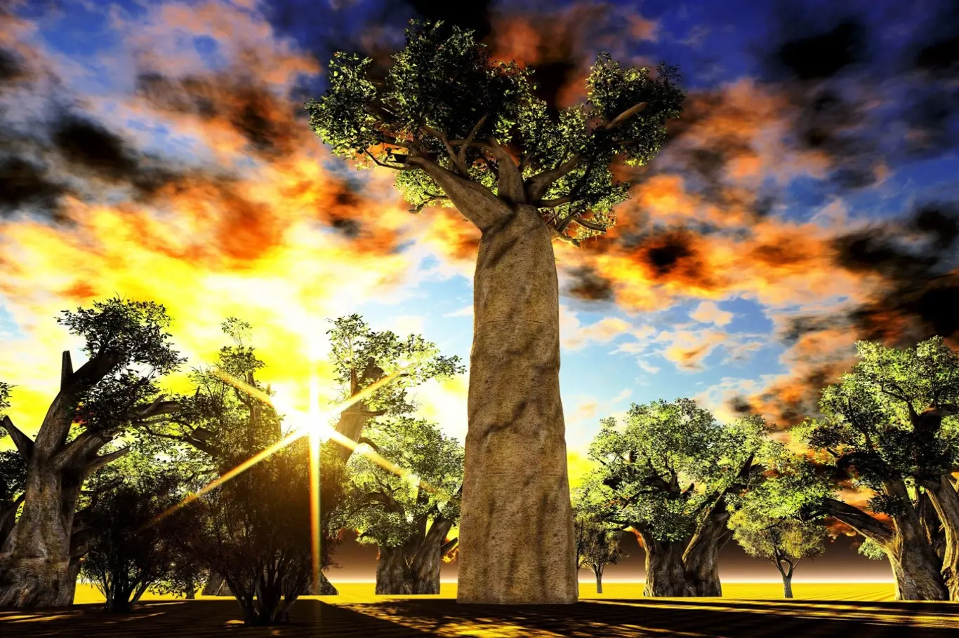 Jedinečné stromy baobaby jsou patrně nejfotografovanější atrakcí Madagaskaru. Díky mohutnému kmeni a malé koruně je každý turista pozná už zdálky.