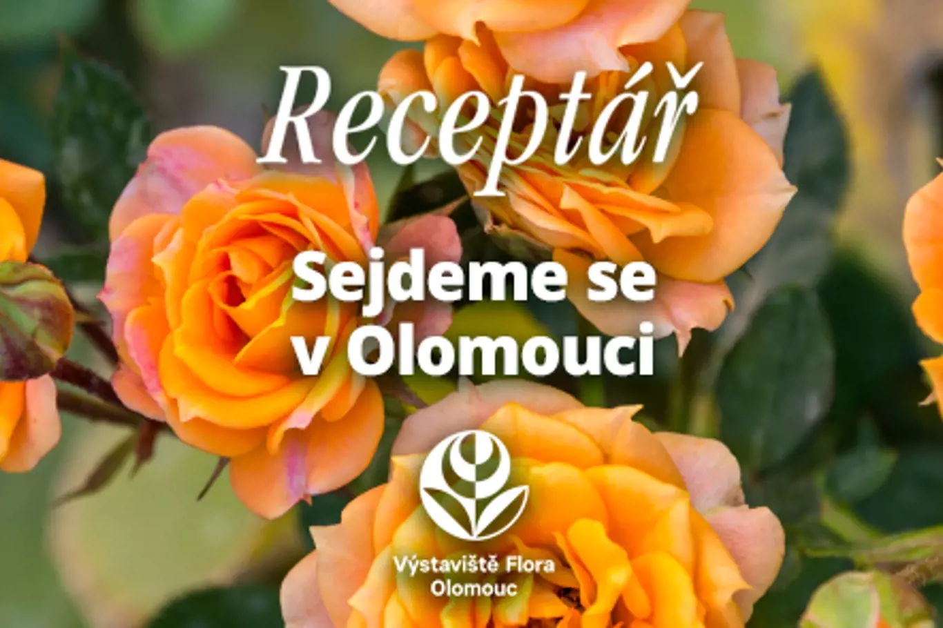 Flora Olomouc - letní etapa