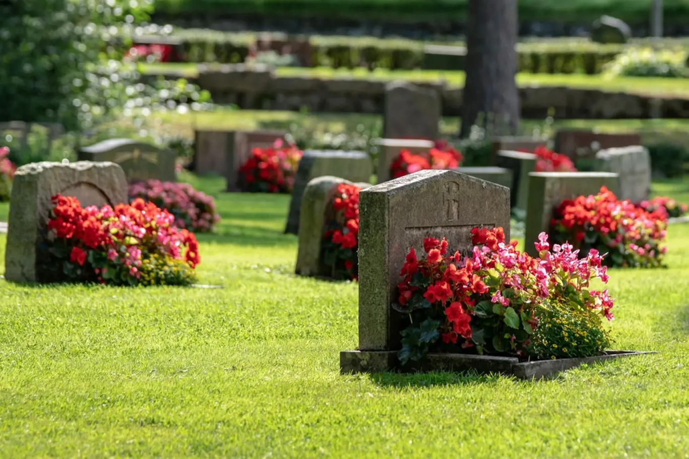 Čím osázet hroby, aby byly upravené i během horkého léta?