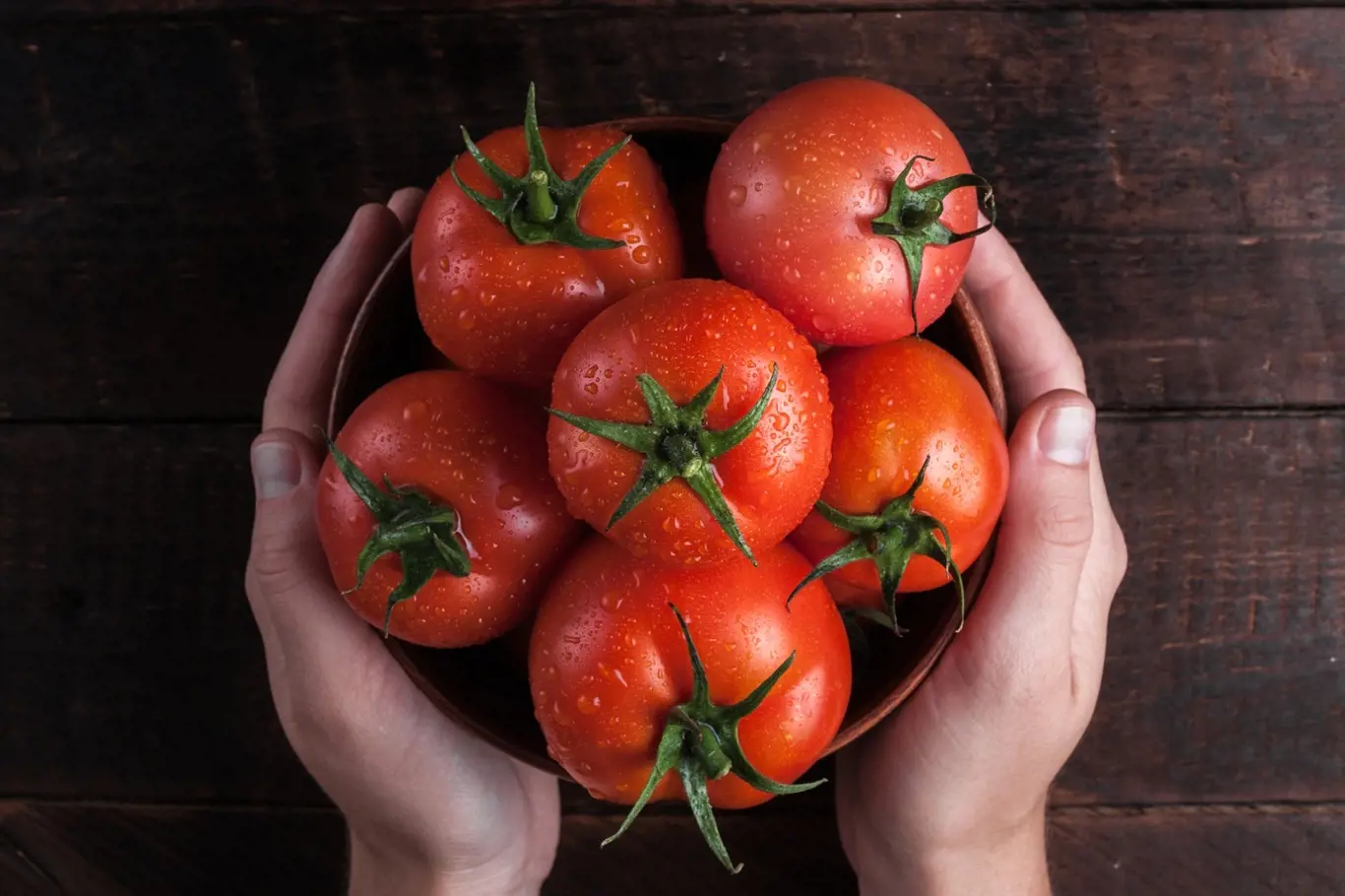 Jak se roubují rajčata?