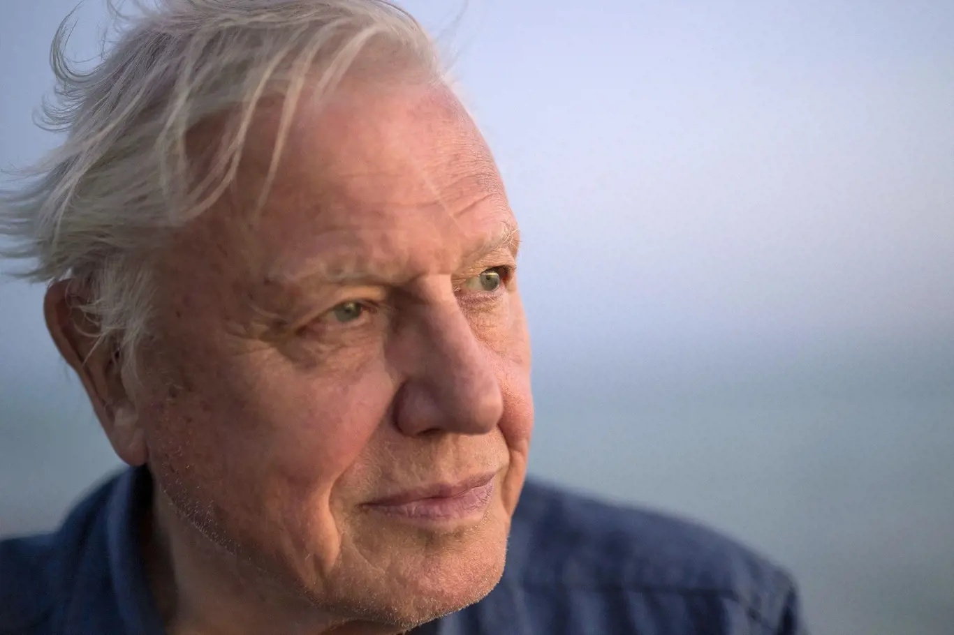 Sir David Attenborough letos slaví devadesátiny.