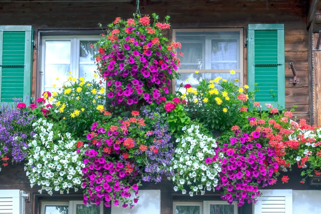 balkonovky balkon květiny