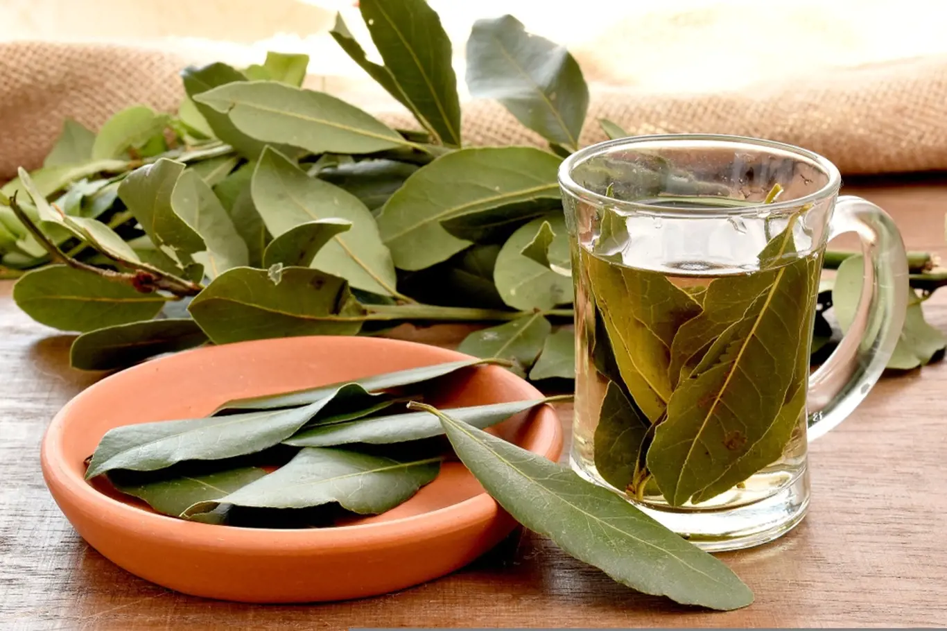 bobkový list čaj