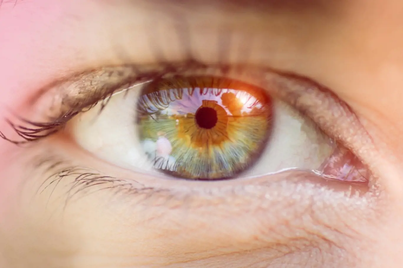 Můžeme ovlivnit barvu očí stravou?