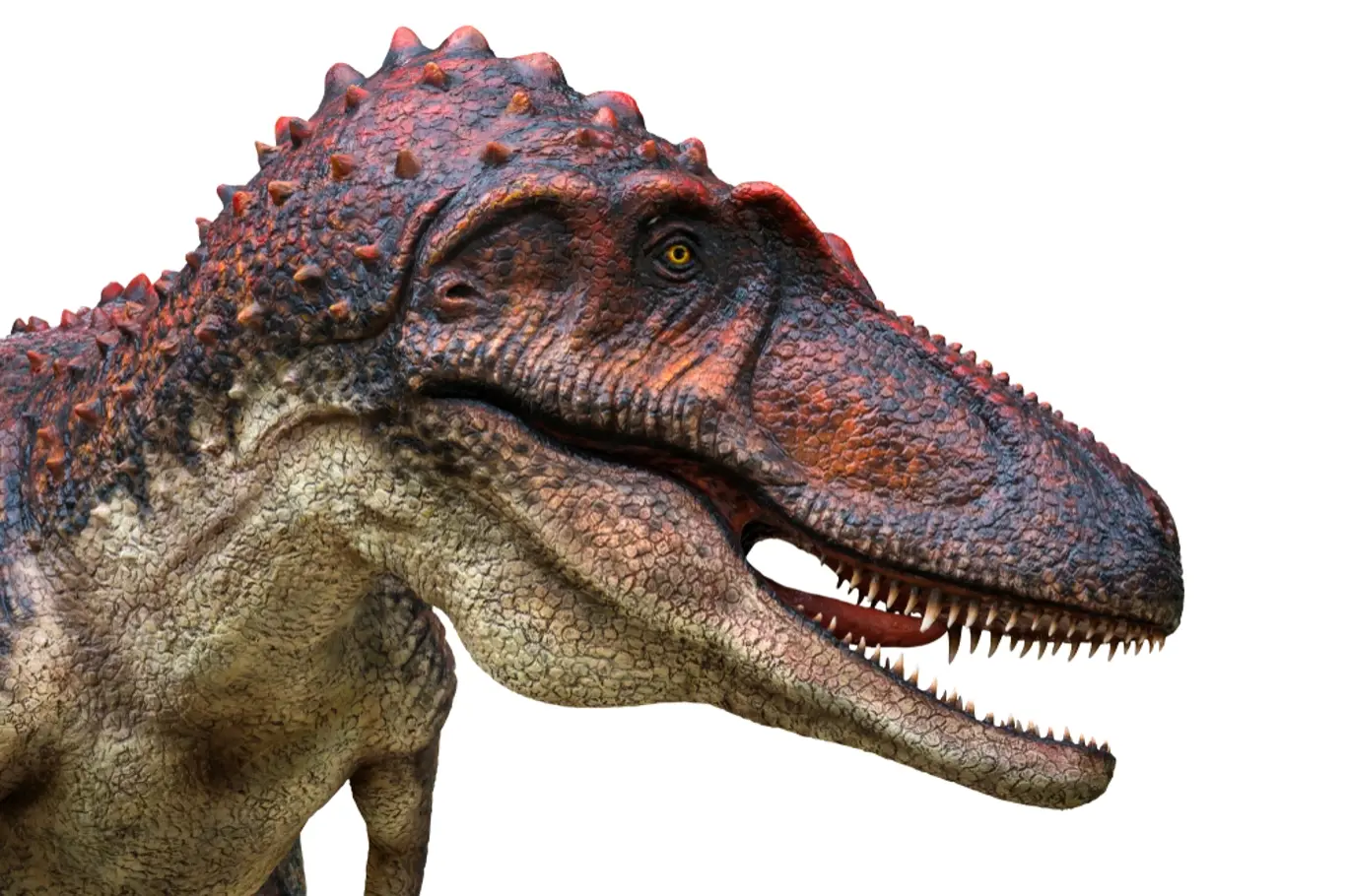 Daspletosaurus byl masožravý rod tyranosauridního dinosaura, který žil v období pozdní křídy.