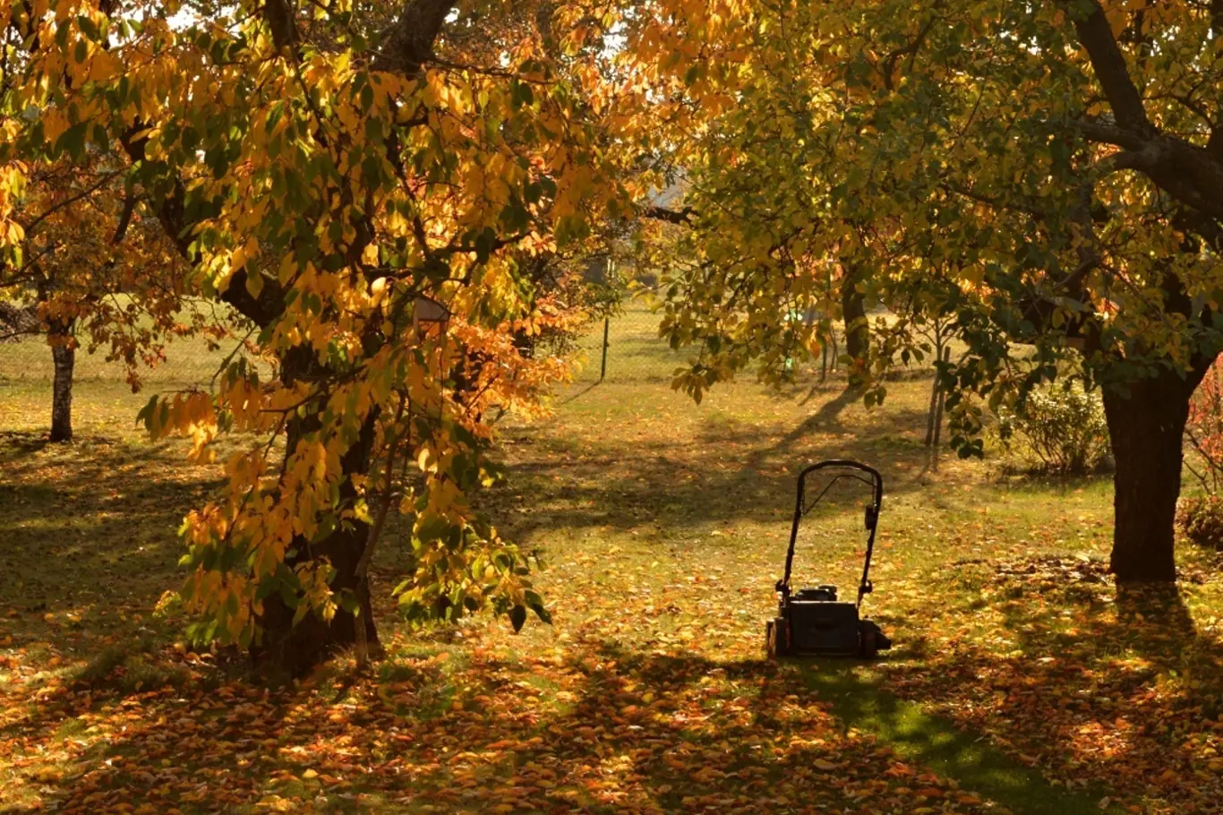 Podzimní úklid listí hráběmi si už nedokážeme představit.