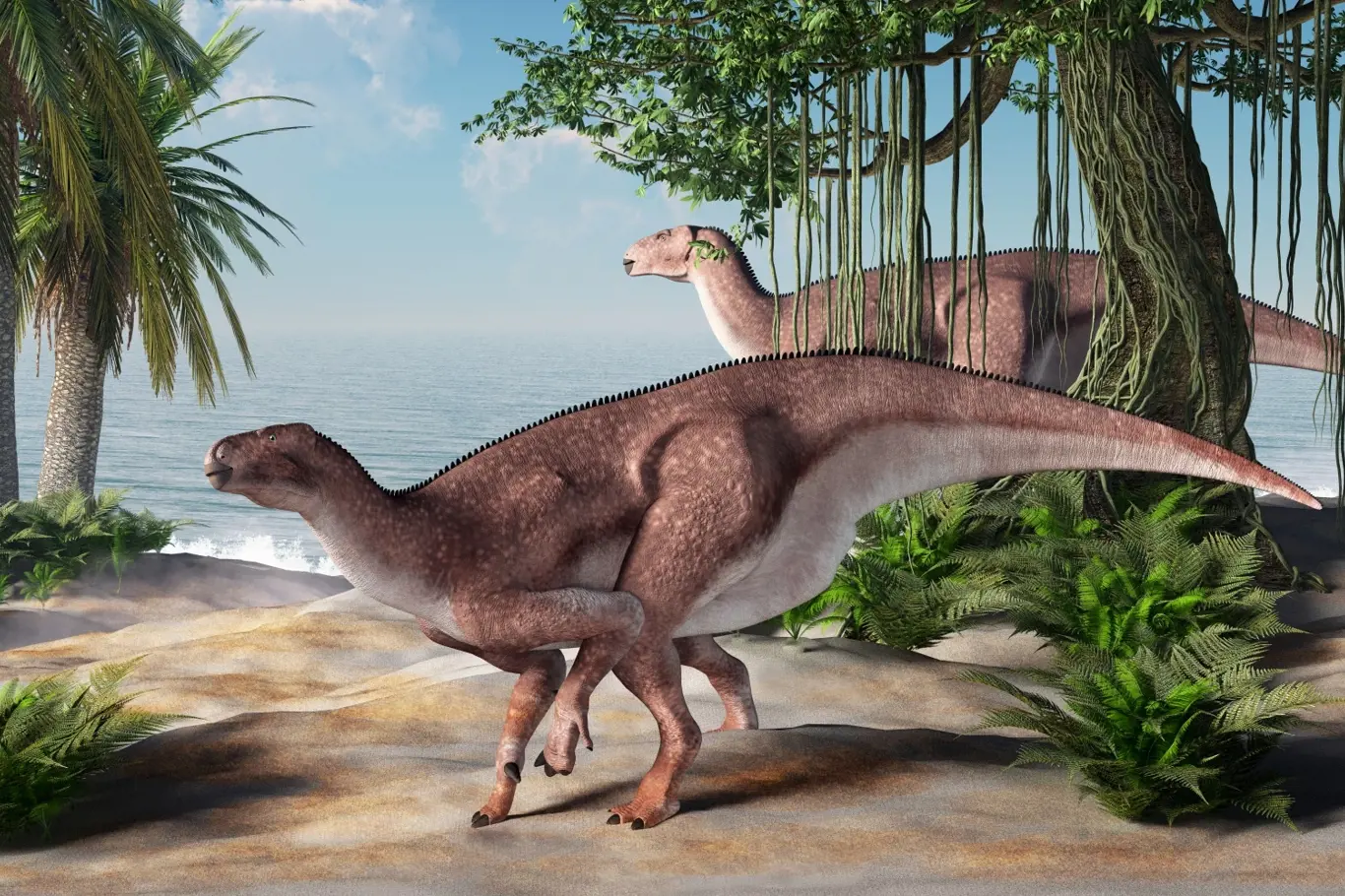Pár leguánů se živí nedaleko pláže. Jeden z nejznámějších dinosaurů, iguanodon, žil na území dnešní Evropy přibližně před 125 miliony let.