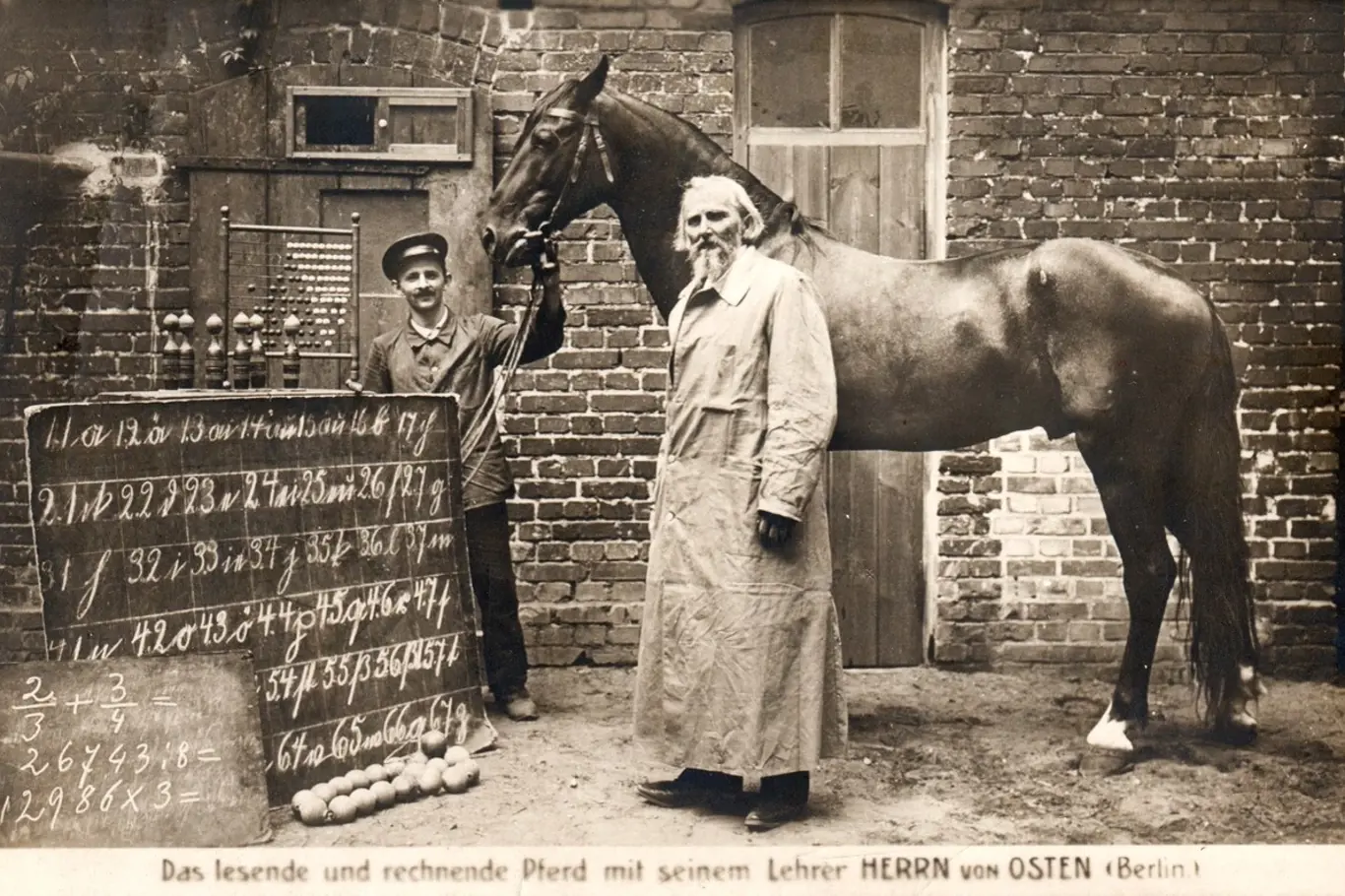 Wilhelm von Osten a jeho kůň Hans