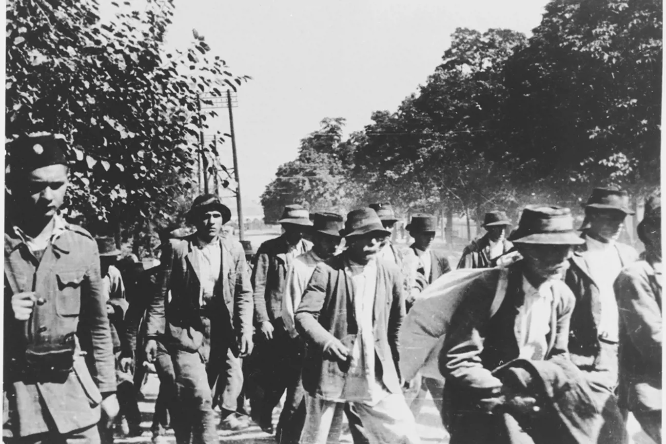 Srbští a Romští vězni při deportu do tábora Jasenovac