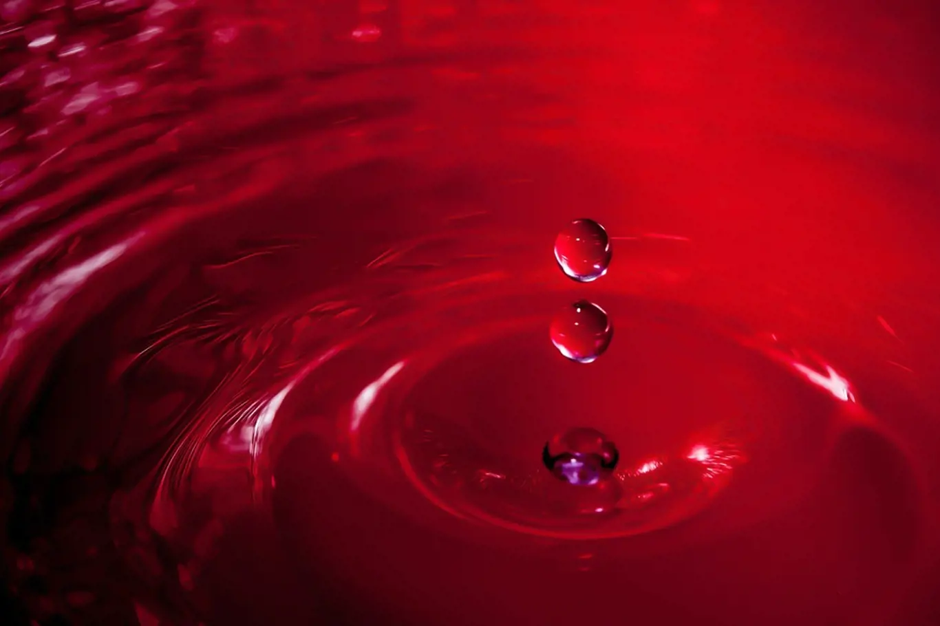 Vědci rozluštili záhadu krvavé vody.