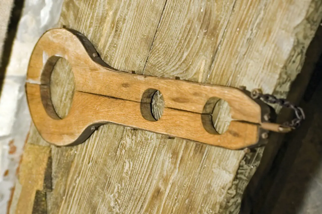 Housle byl název i pro mučicí nástroj.
