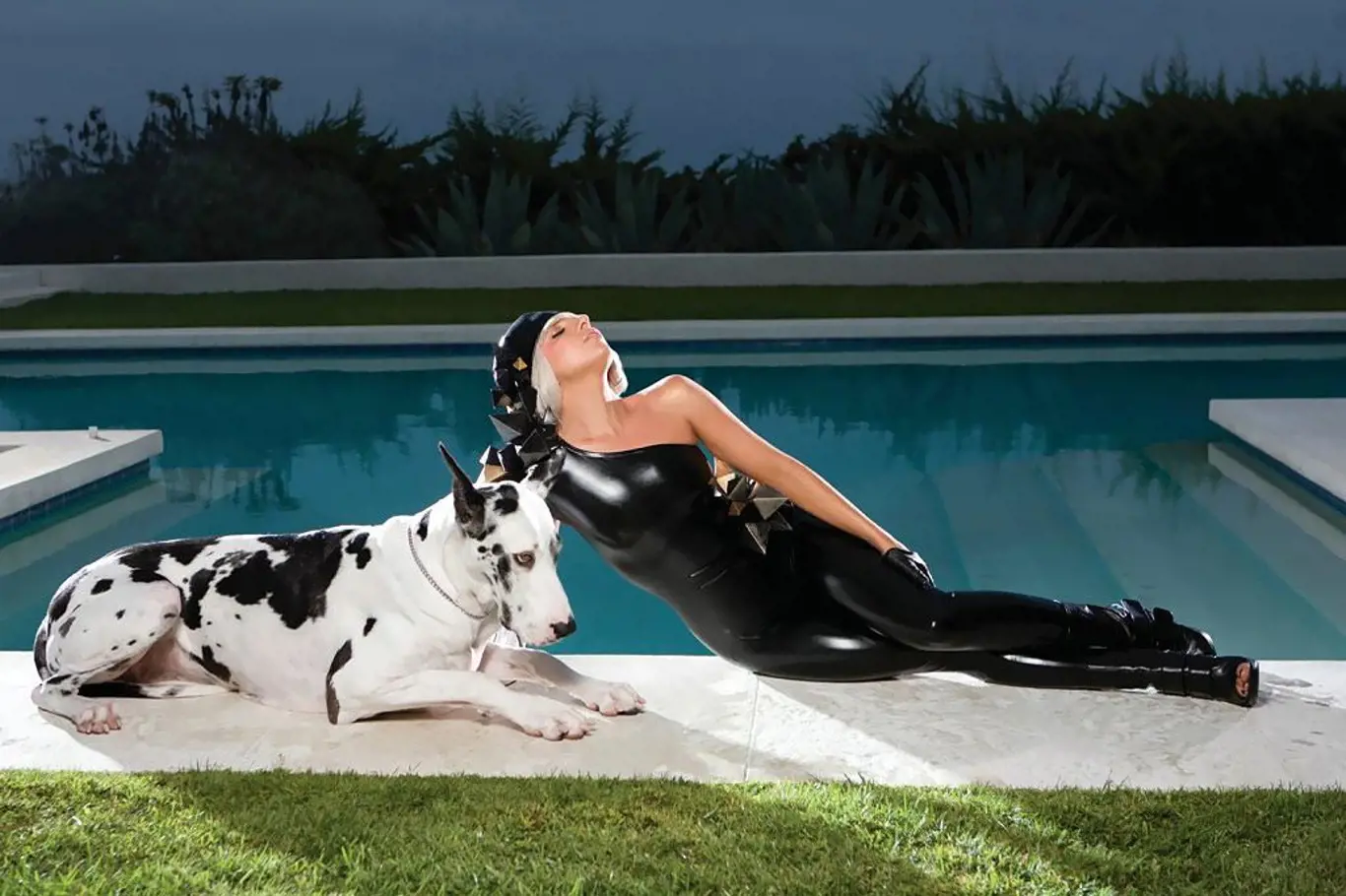 Lady Gaga a doga Rufus