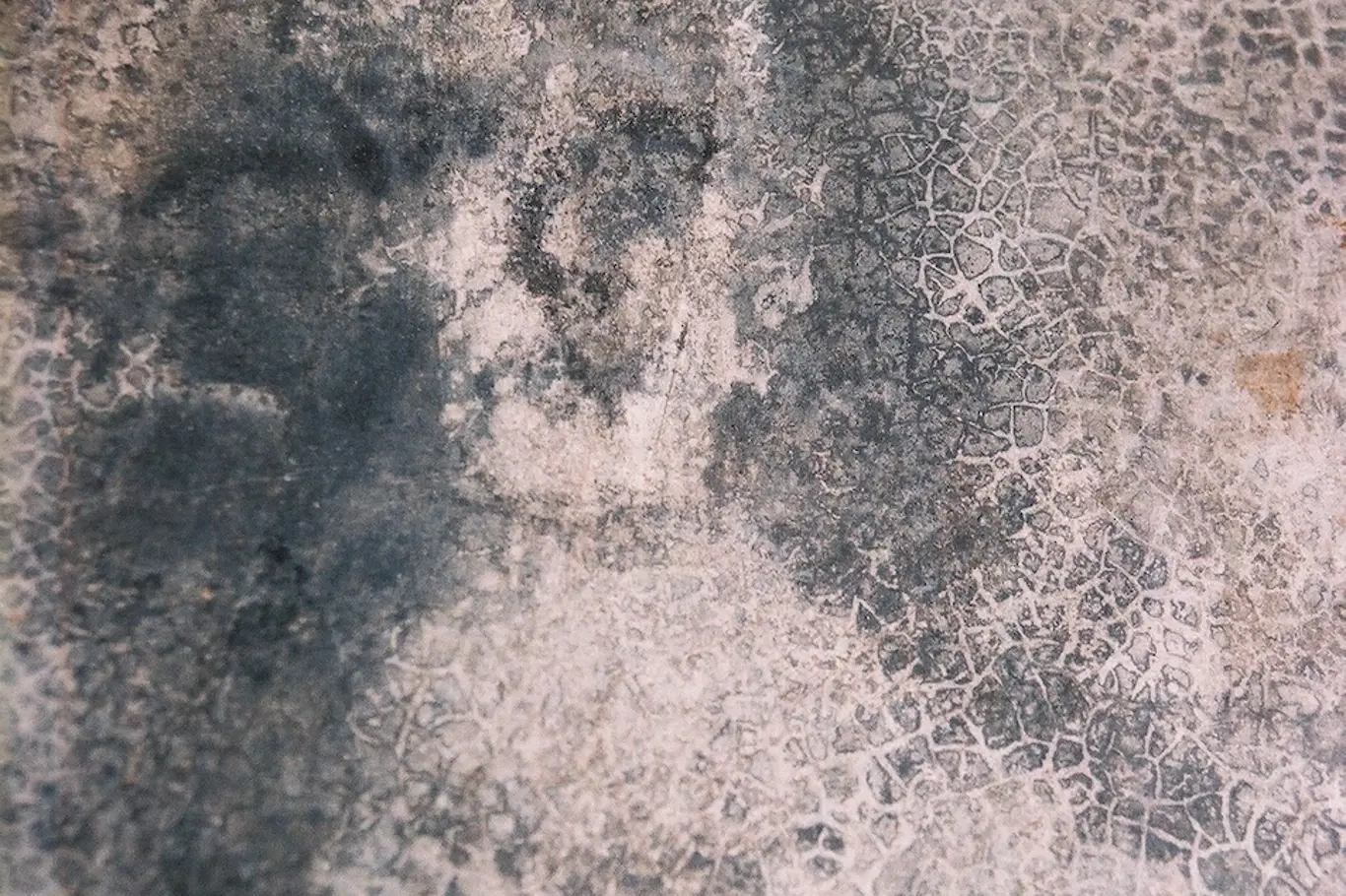 Bélmezské tváře, detail