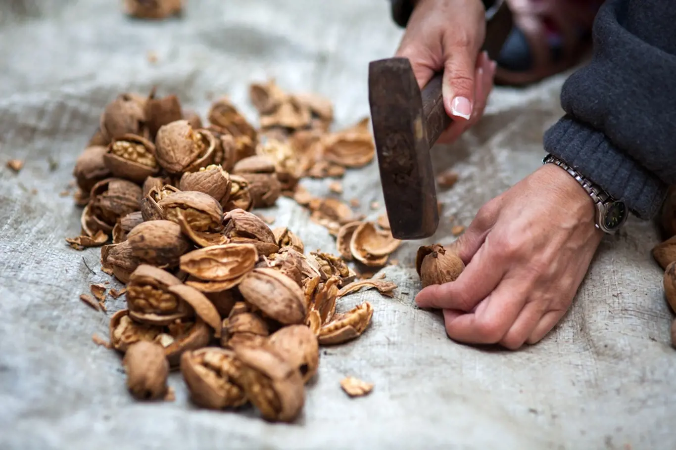Rozbíjení ořechů kladivem.