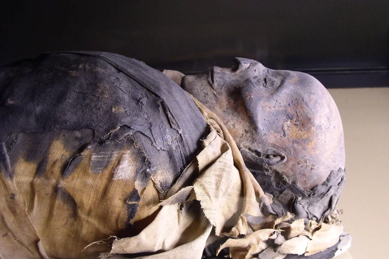 Z Egypta byly dováženy mumie, aby se viktoriánská smetánka mohla dobře bavit.