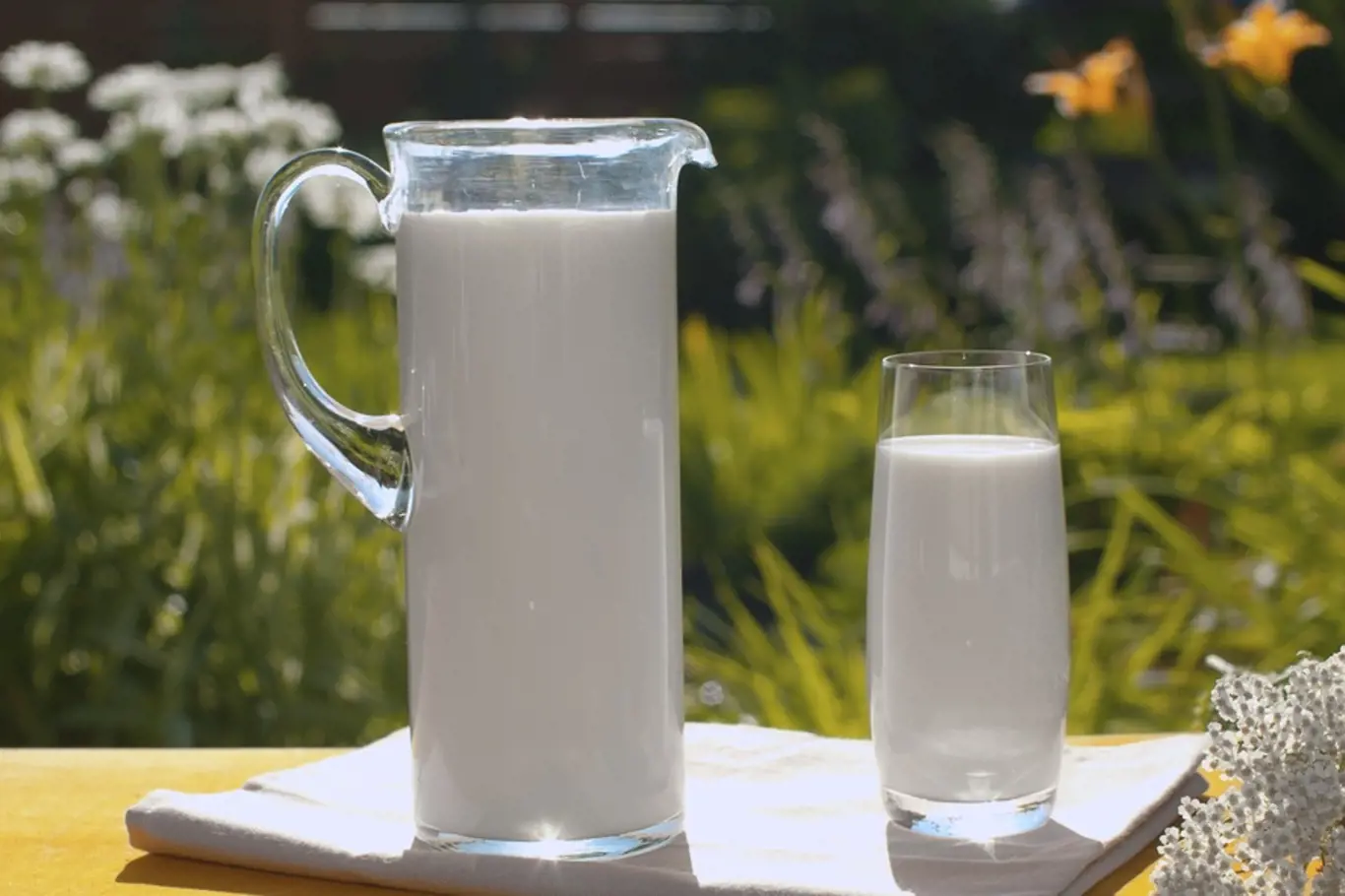 Mléko může dokonce posloužit jako ochranný prostředek proti patogenním mikroorganismům, mnoha škůdcům a obtížnému hmyzu.