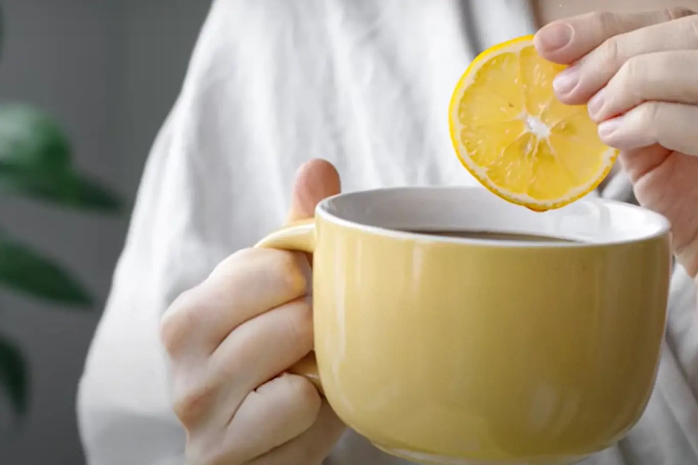 káva s citronem