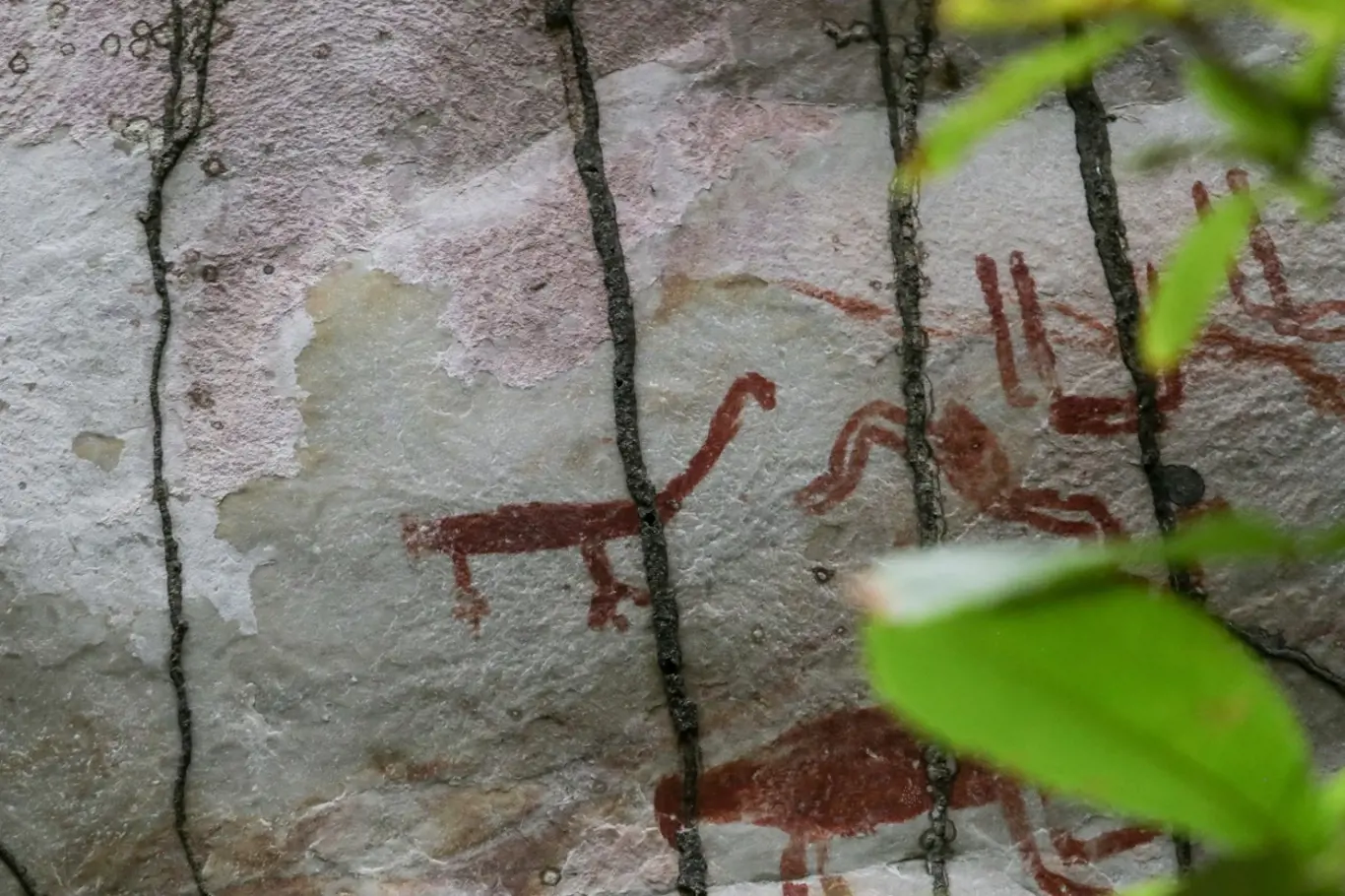 Vědci našli v Amazonii tyto záhadné pravěké skalní malby.