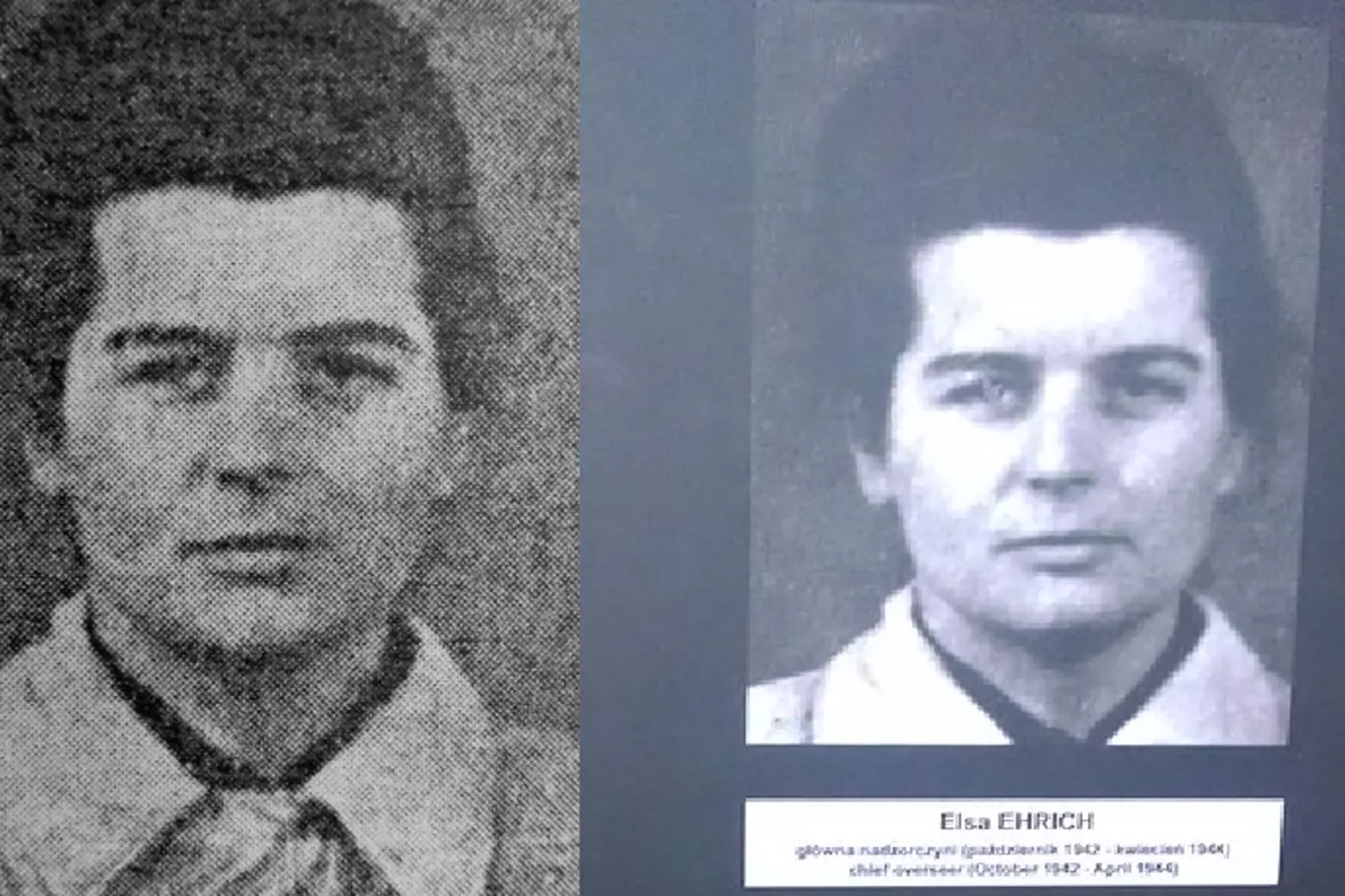 Elsa Lieschen Frida Ehrich, zvaná „Elsa“ byla další ze série sadistických dozorkyň. Za své zločiny byla 26. října 1948 ve věznici v Lublinu popravena.