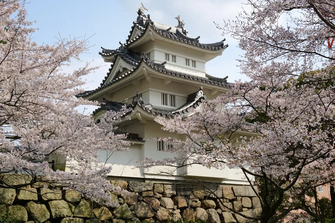 Hrad Tsu v Japonsku