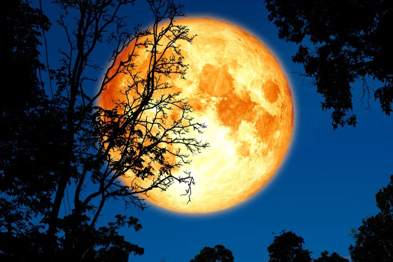 měsíc, luna, noc