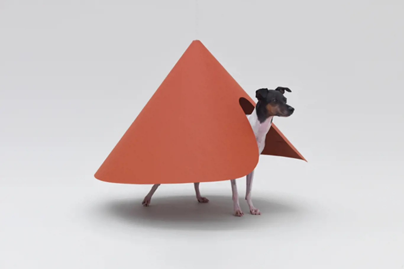 Architecture for Dogs 2