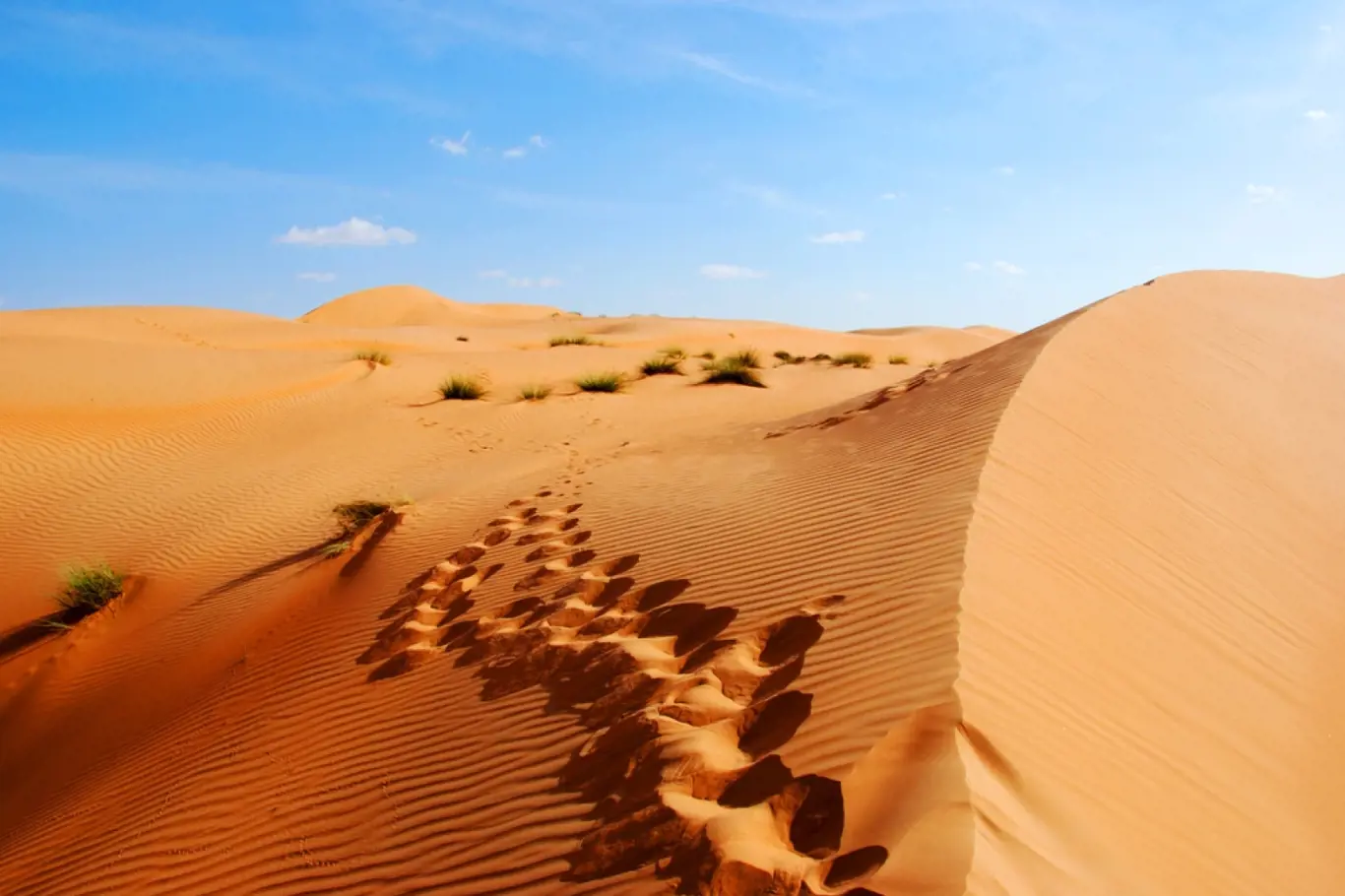 Zážitky - Bloudění v pustých končinách pouště Rub al-Chálí