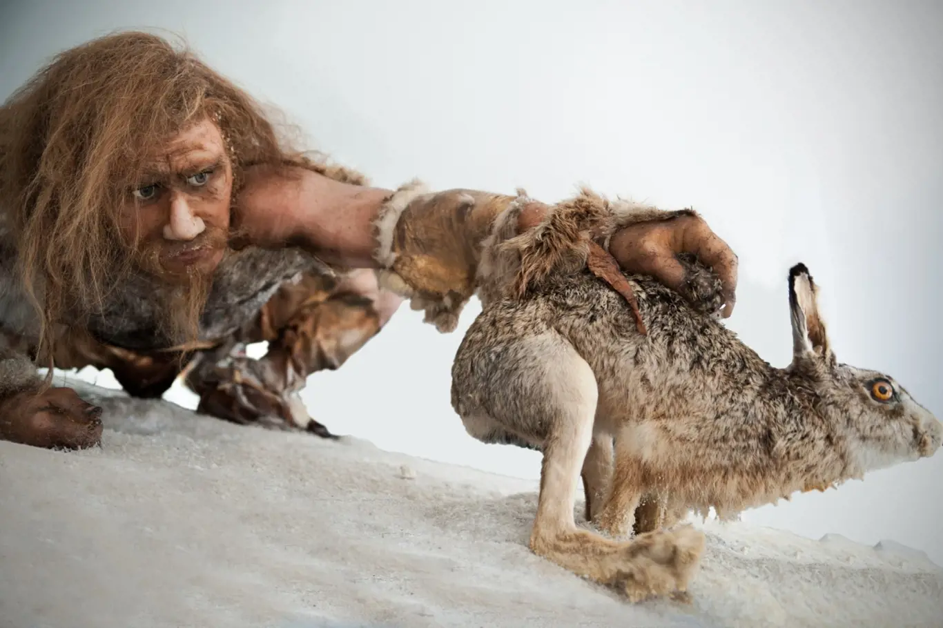 Co stálo za vymřením neandertálců? Byli jsme to my, Homo sapiens?