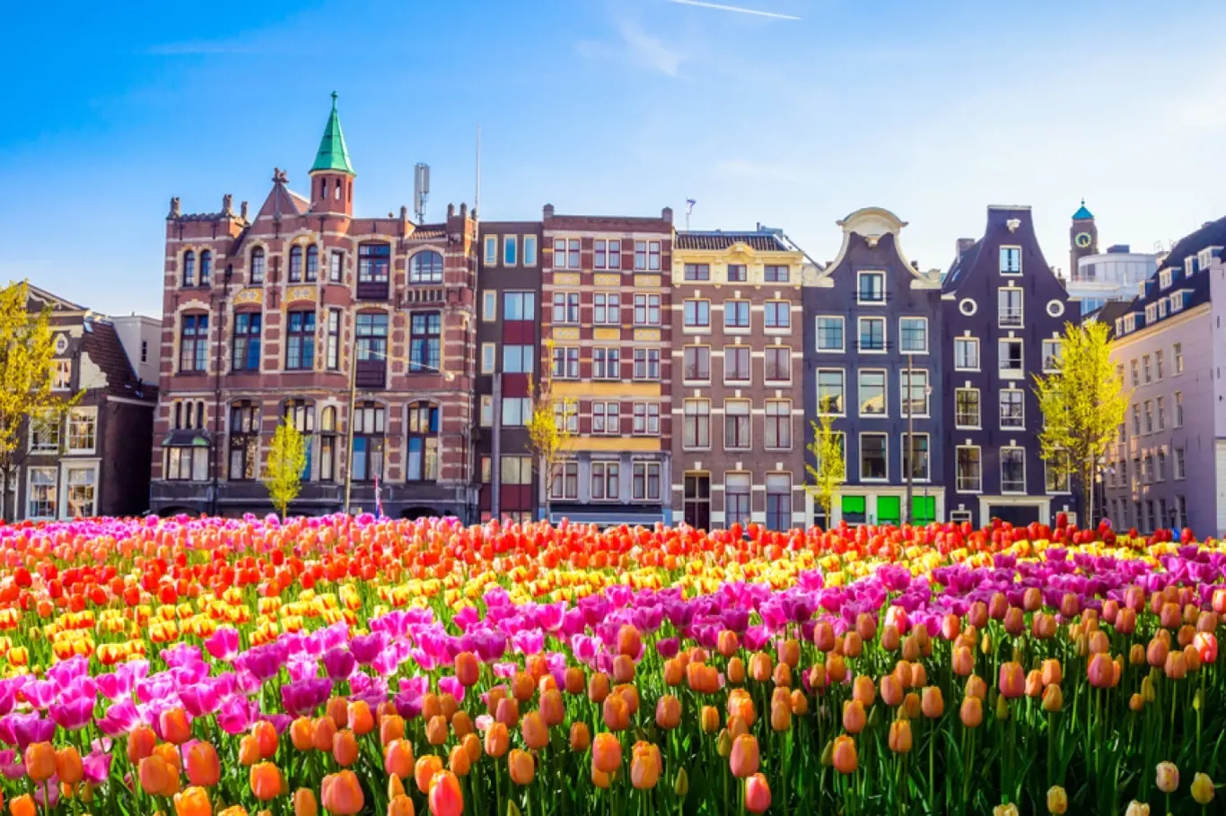 Poznání - 12 důvodů, proč si zamilujete Amsterdam
