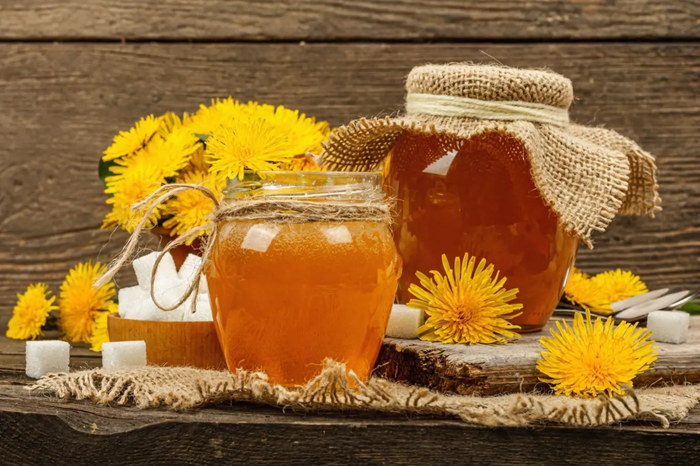 Pampeliškový med, zavařovačky, květy
