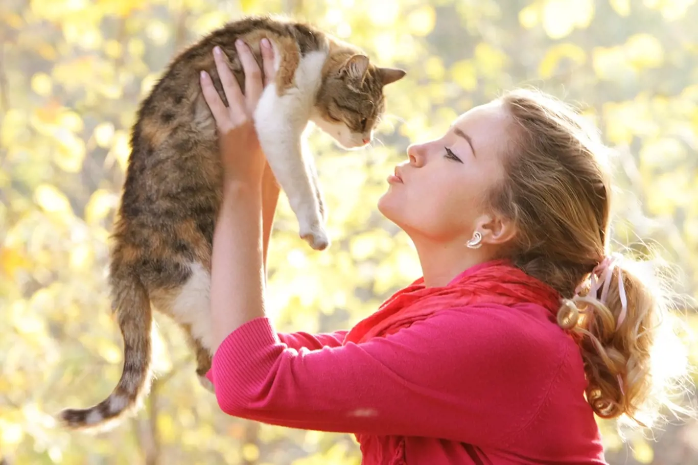 Máte raději kočky, nebo psy? Co zjistili odborníci během výzkumu?