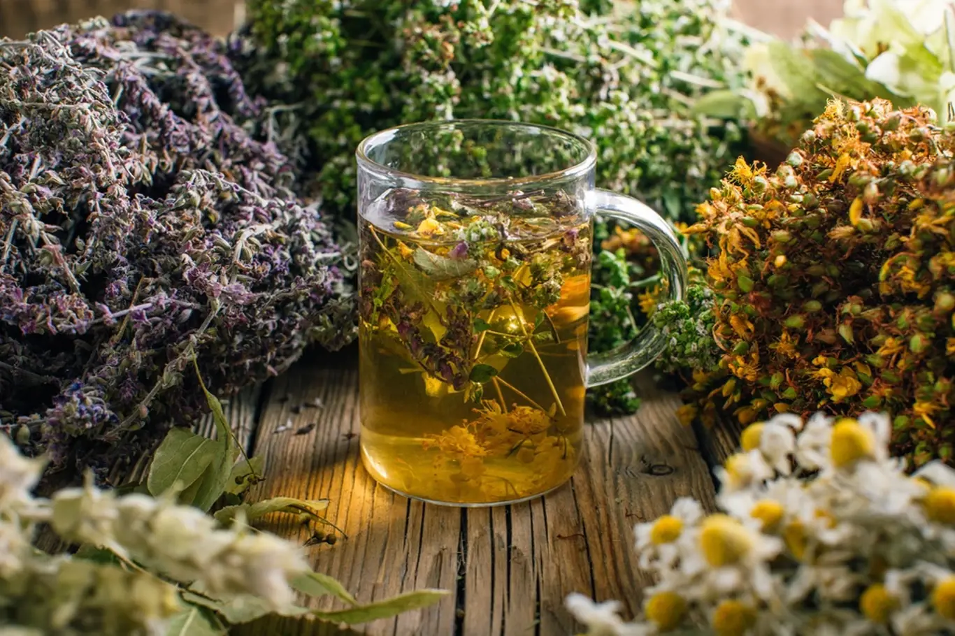 Které bylinné čaje vám pomohou pro prodělaném onemocnění covid-19?