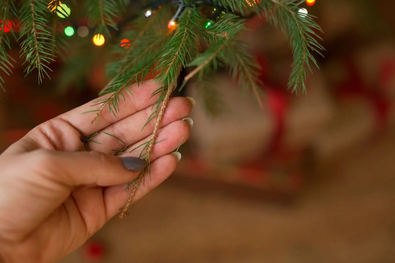 vánoční stromek opadávání jehličí