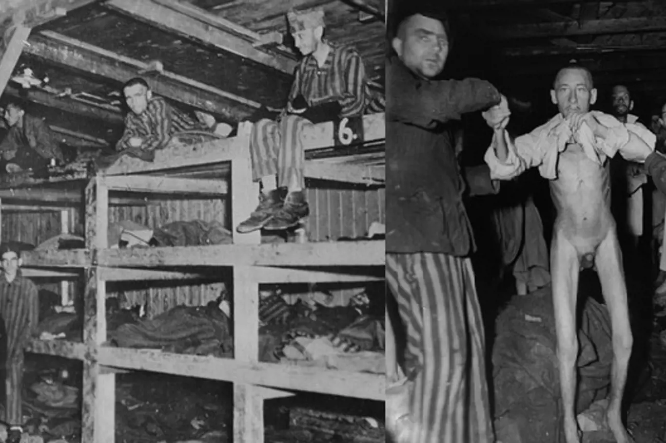 Osvobození koncentračního tábora Buchenwald.