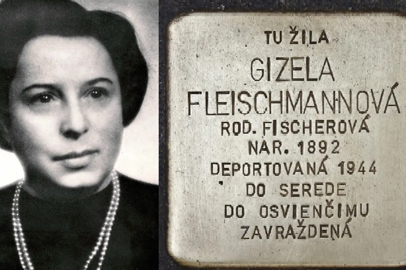Gisi Fleischmannová zachraňovala Židy před nacistickým ohrožením a smrtí v koncentračních táborech během druhé světové války. Byla jednou z mála žen v řadách židovských bojovníků proti nacismu.