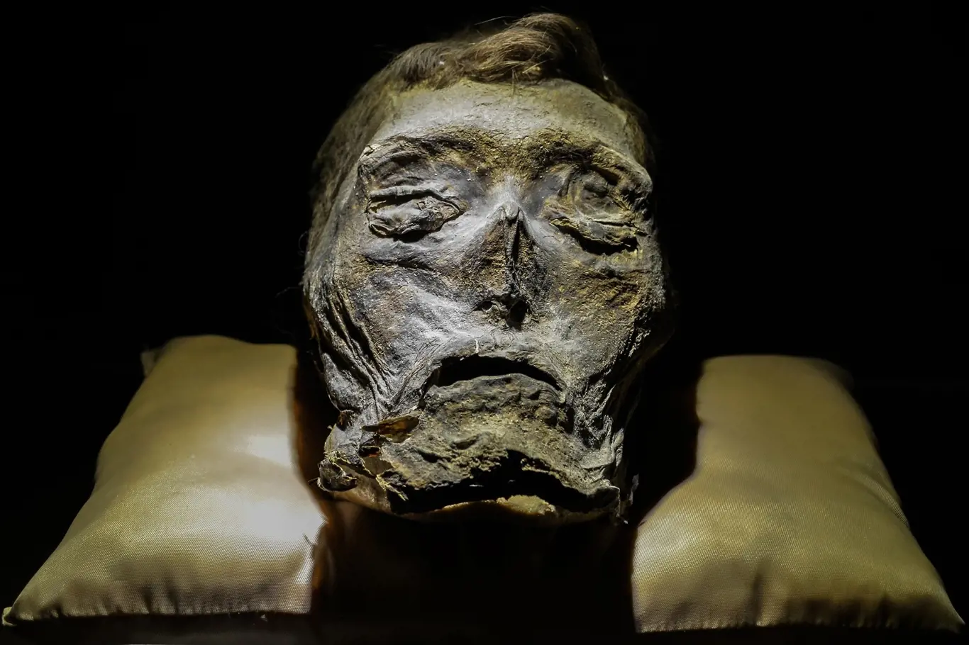 Hlava mumie