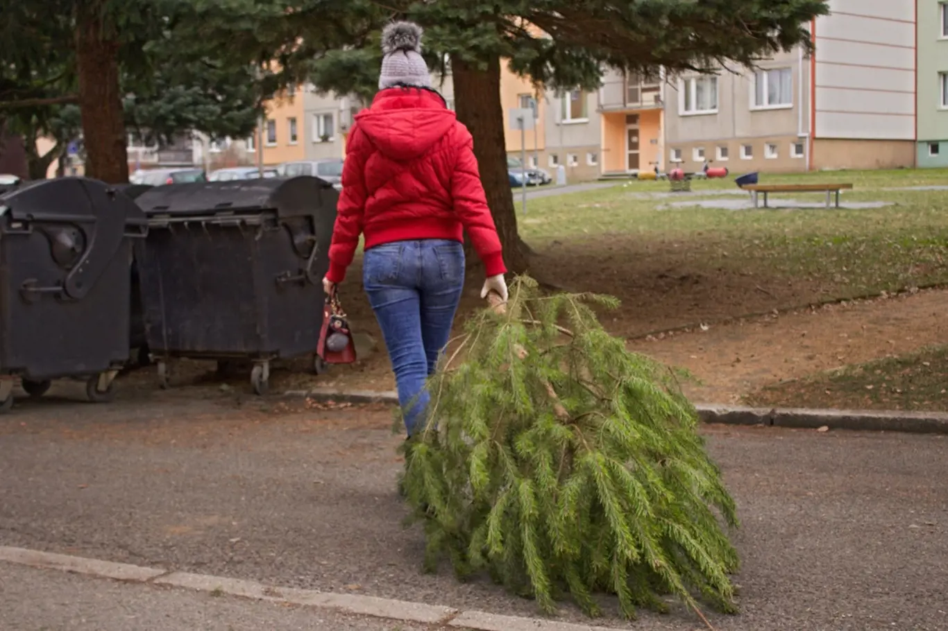 Odstrojený vánoční stromek patří ke kontejnerům na komunální odpad.