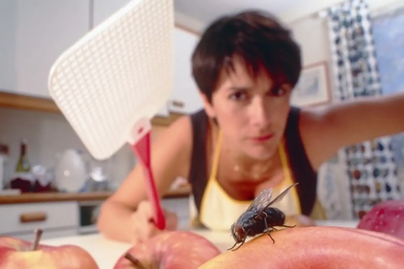 Dotěrný hmyz umí pěkně znepříjemnit nejen letní posezení na zahradě či terase, ale obtěžuje i doma v kuchyni, nebo v noci v ložnici.