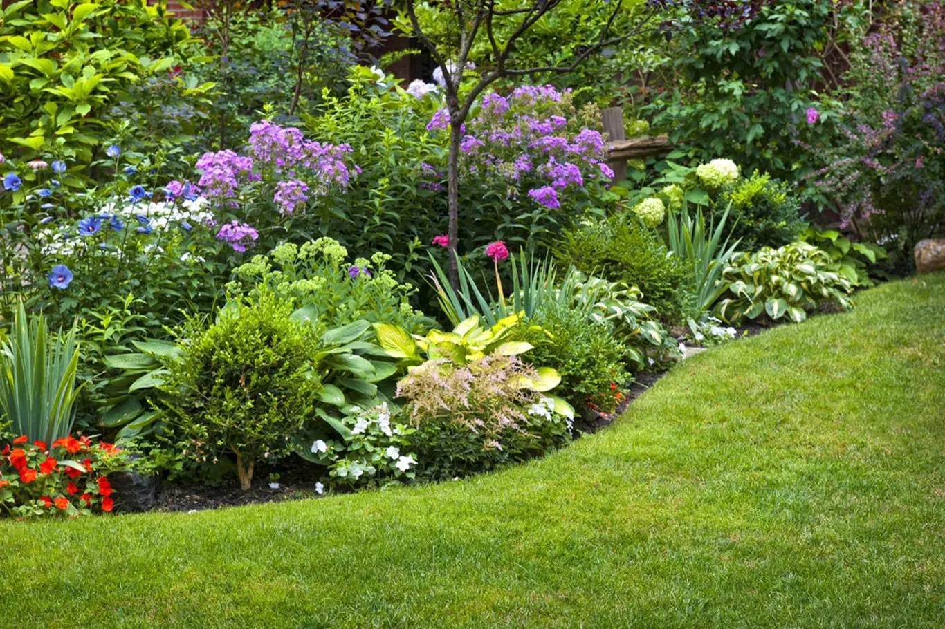 Dobře založený a udržovaný trávník je důležitou součástí okrasné zahrady.