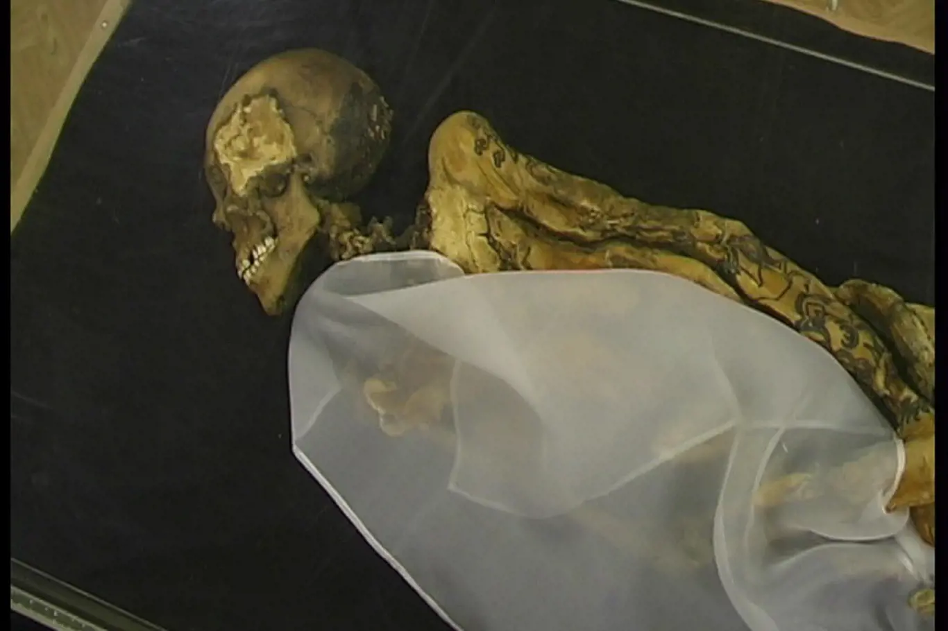 Mumie sibiřské ledové panny
