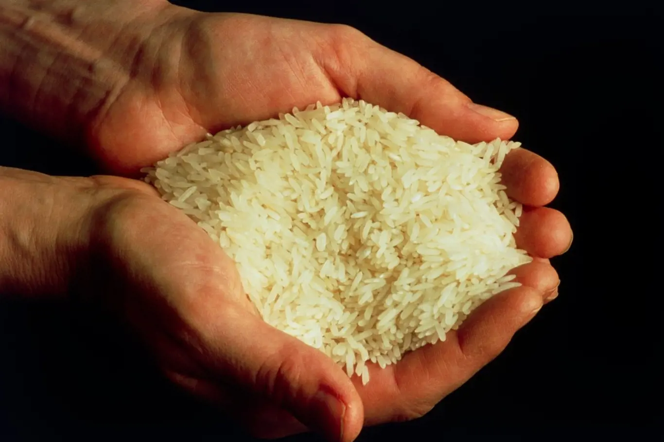 Rýže patří mezi velice oblíbený pokrm.