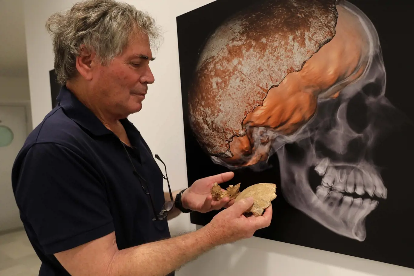 Izraelští vědci ukazují fosilní fragmenty lebky a čelisti na univerzitě v Tel Avivu v Izraeli 27. června 2021. Pozůstatky se skládaly z kostí patřících "novému typu raného člověka".