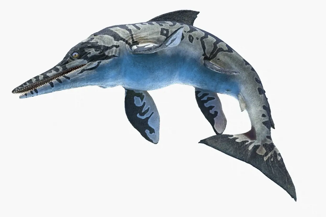 ichtyosaurus