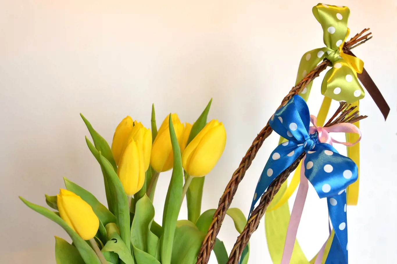 Spring composition: two easter whips with bunch of yellow tulips, empty background