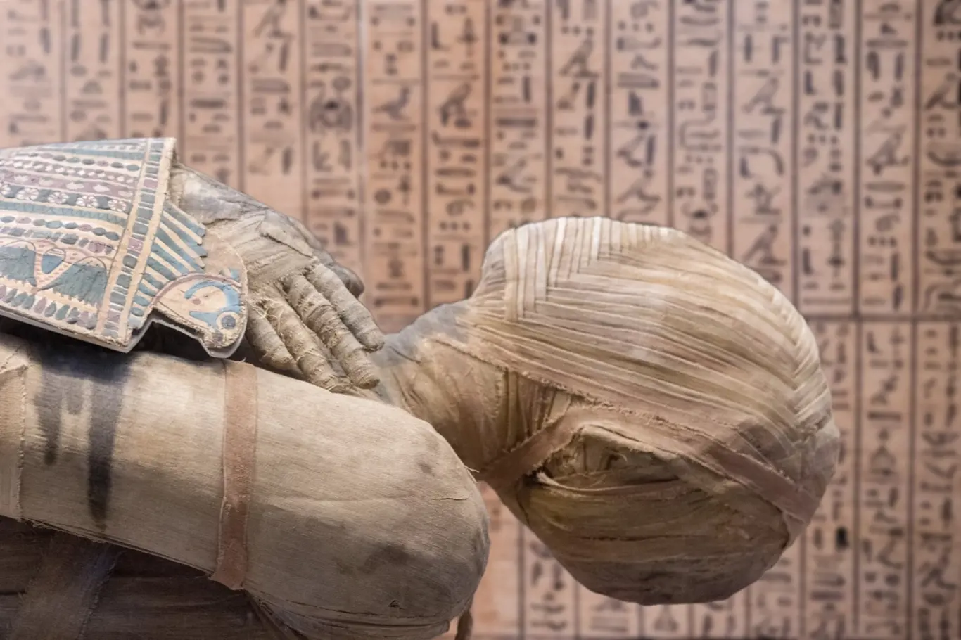 Rekonstrukce tváře egyptské mumie