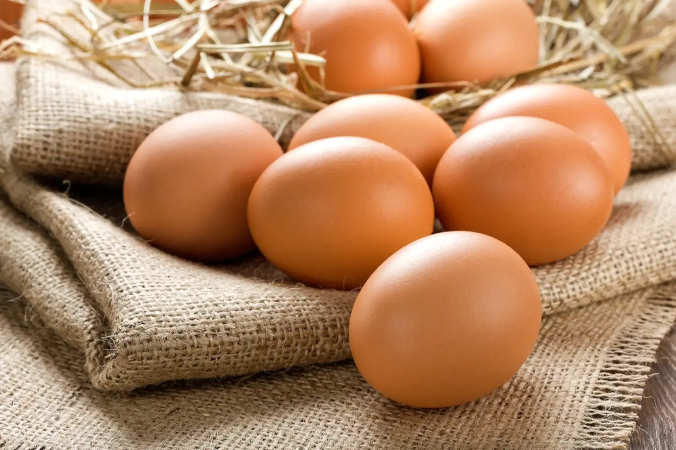 Poslední výzkumy dokazují, že vajíčka jsou zdravá. Teď letí omega vejce, ta jsou nejzdravější.