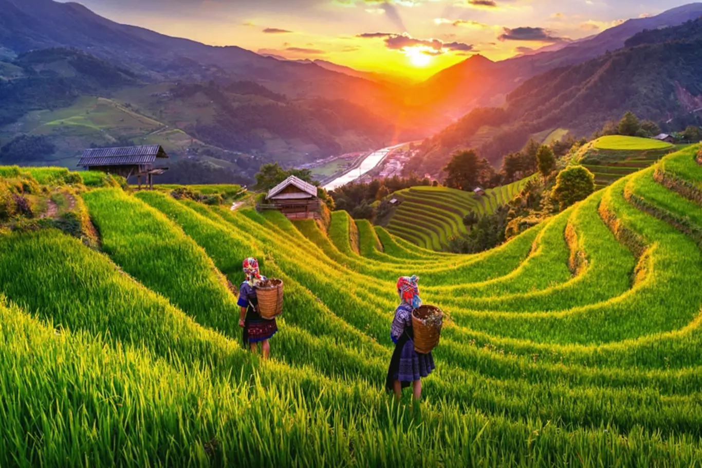 Už jste navštívili krásná rýžová pole?